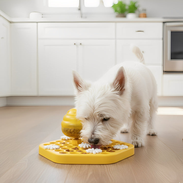 Durable non-slip slow feeder dog bowl promoting mental stimulation and preventing fast eating