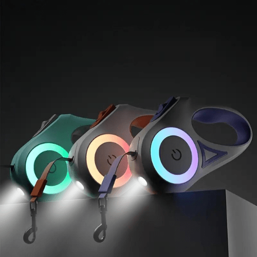 Green LED dog leash, 5m, enhancing night visibility for safe dog walks.