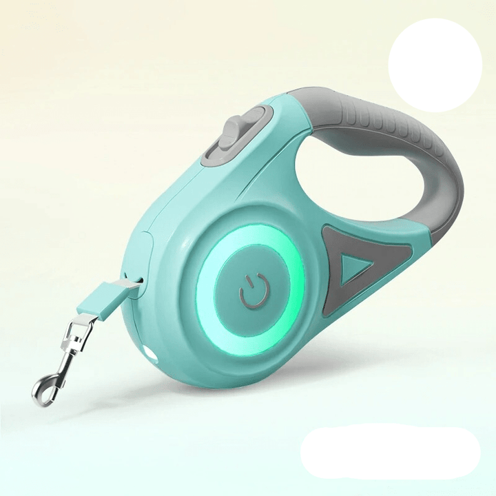 High visibility 5m LED dog leash, a must-have for safe night walks and pet safety.