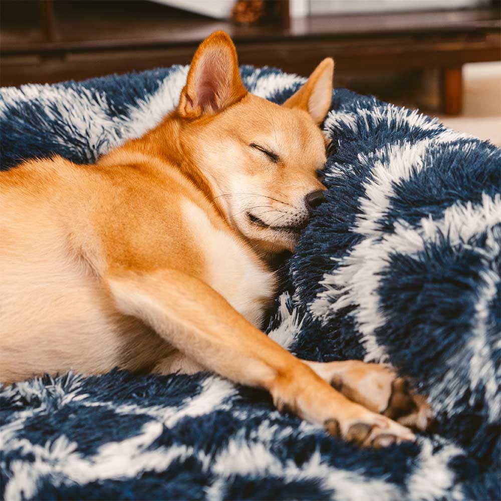 Large orthopedic bolster dog bed with washable cover for pet comfort