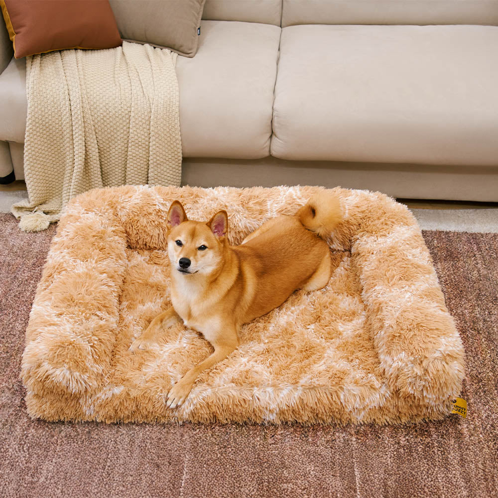 Dog bed for small pets, orthopedic bolster, plush and comfortable