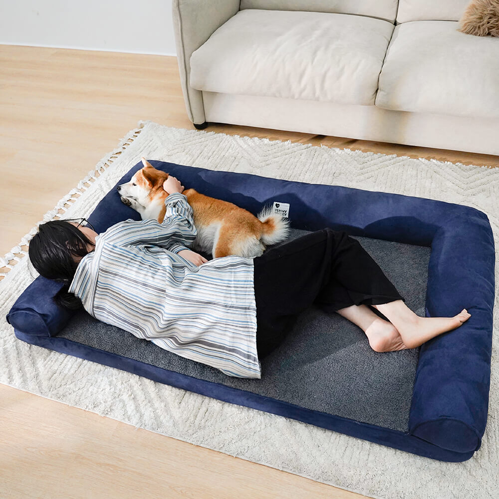 Durable orthopedic dog bed with full bolster, washable cover for easy care