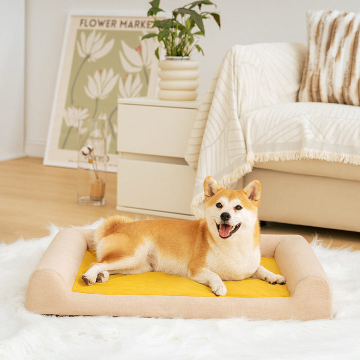 Large orthopedic pet bed providing joint support for dogs, comfortable and durable
