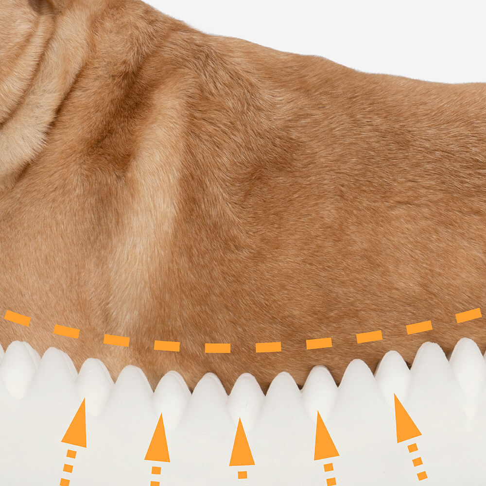 Close-up of comfortable orthopedic dog bed fabric, offering full support for pets
