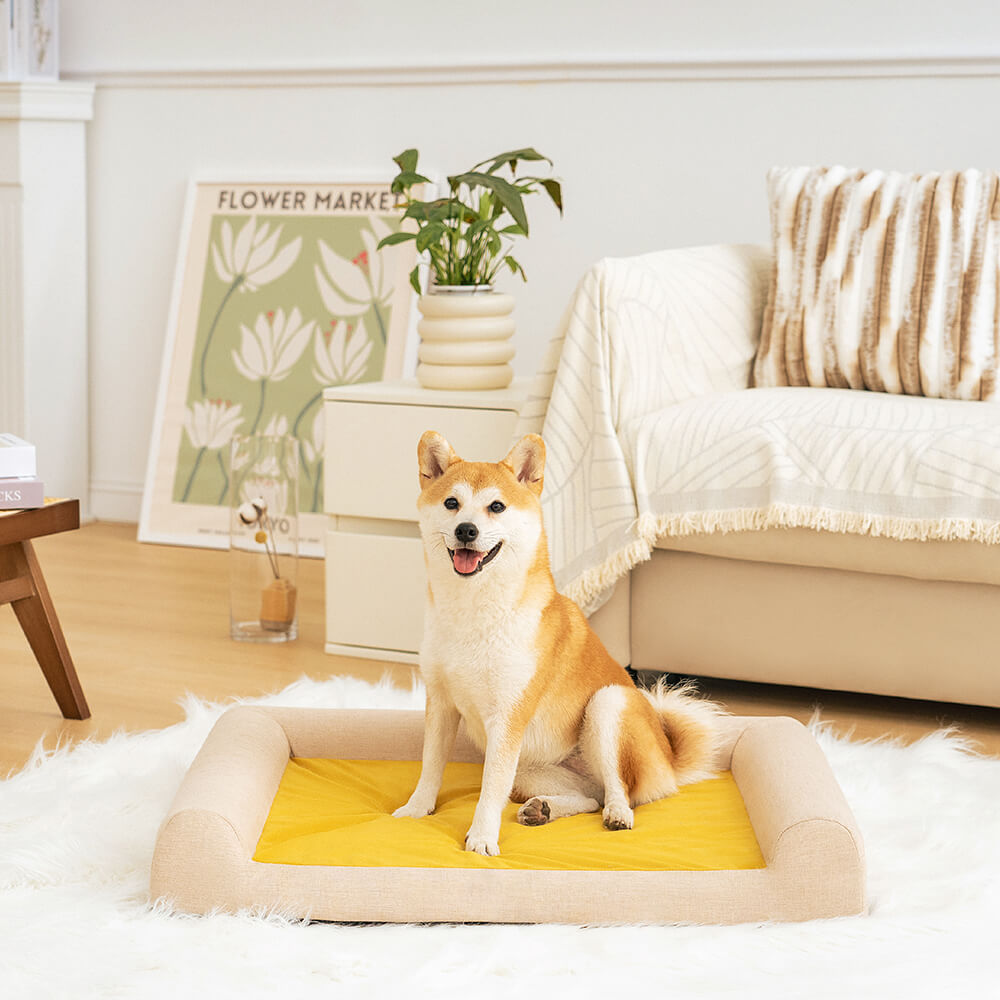 Washable orthopedic dog bed, easy to clean, designed for pet comfort and joint health