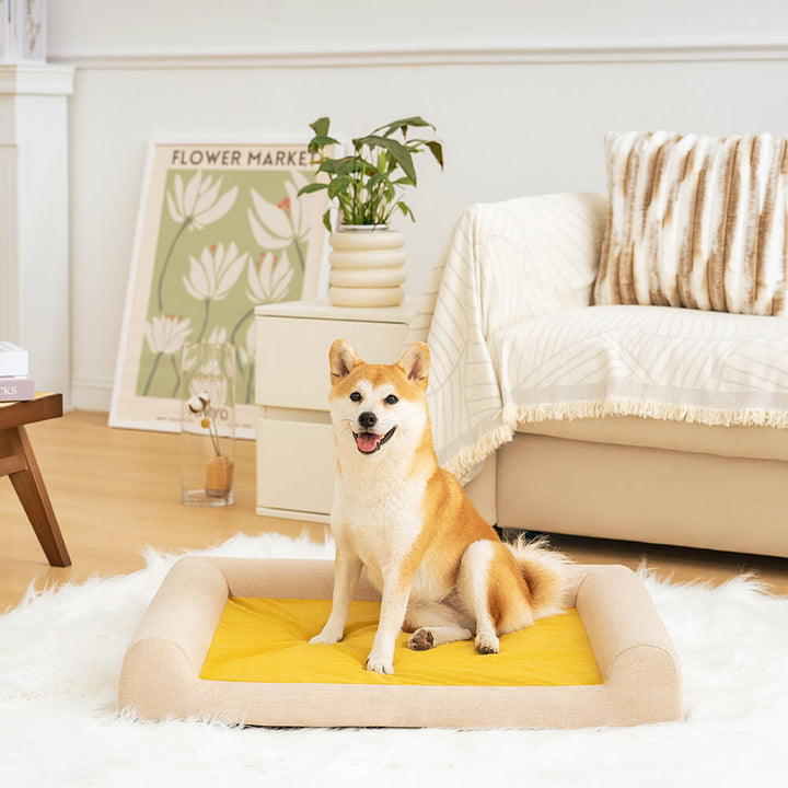 Washable orthopedic dog bed, easy to clean, designed for pet comfort and joint health