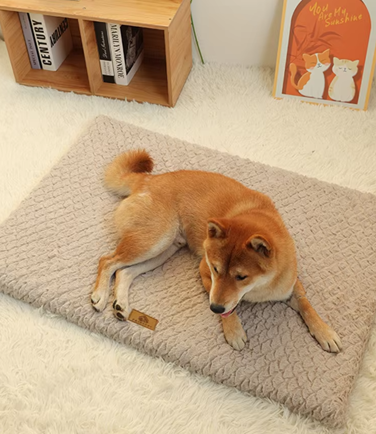 Close-up of a fluffy orthopedic pet mat, washable, soft, providing joint support