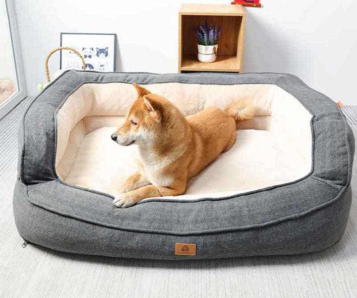 Small orthopedic dog bed with washable cover, offering joint support and comfort