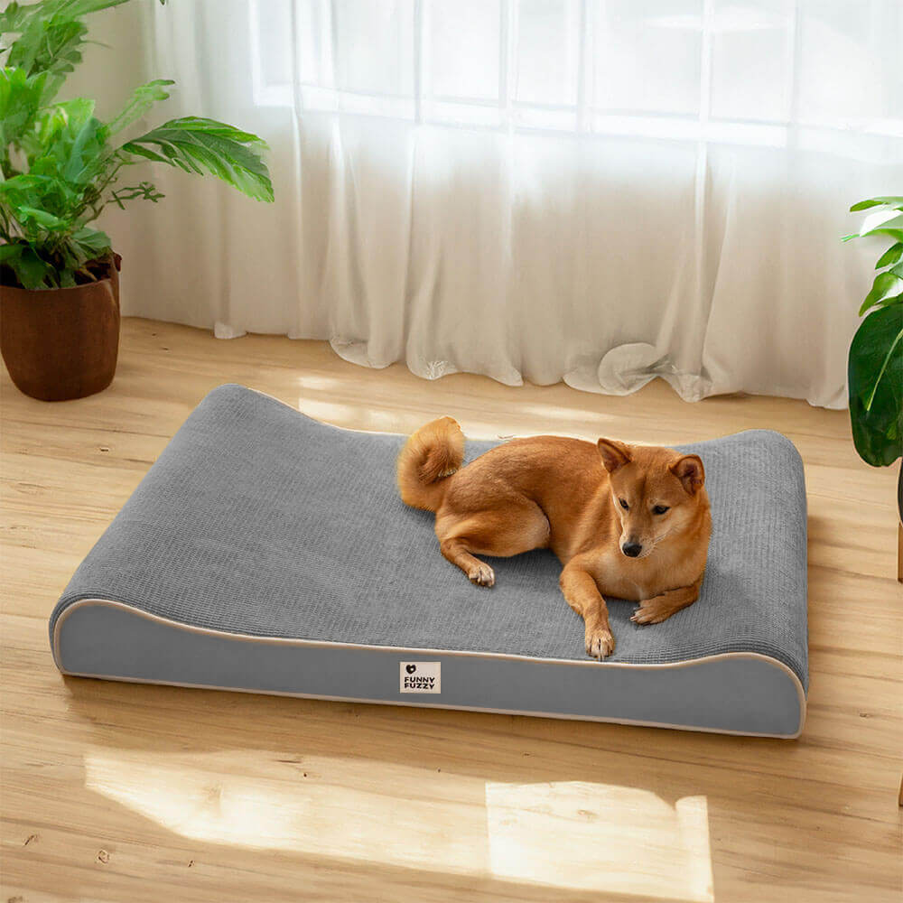 Happy dog relaxing on a large orthopedic lounge bed, demonstrating comfort & joint support.