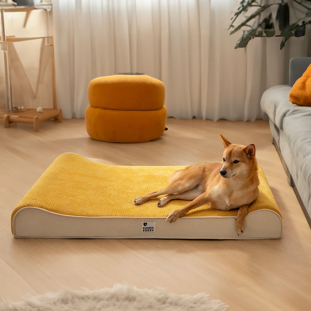 Orthopedic pet lounge bed in a living room setting, blending with home decor, ideal for joint support.