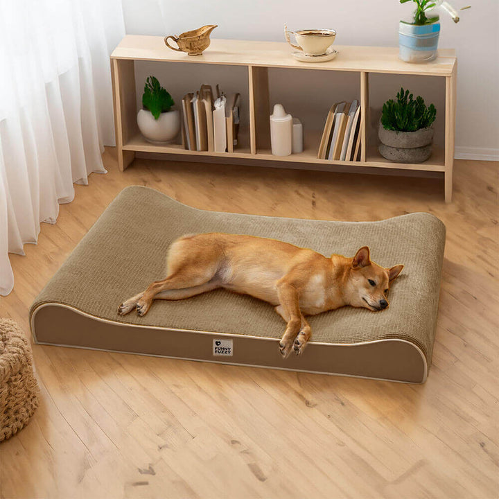 Two dogs sharing a spacious orthopedic pet lounge bed, emphasizing comfort & joint support for multiple pets.