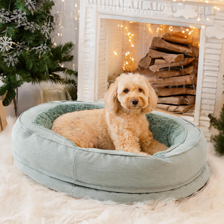 Large orthopedic donut dog bed with a soft, supportive inner cushion.