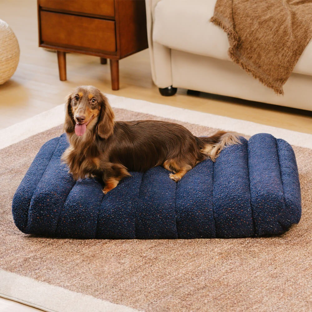Orthopedic flat dog bed in creamy color, washable for easy cleaning and pet comfort