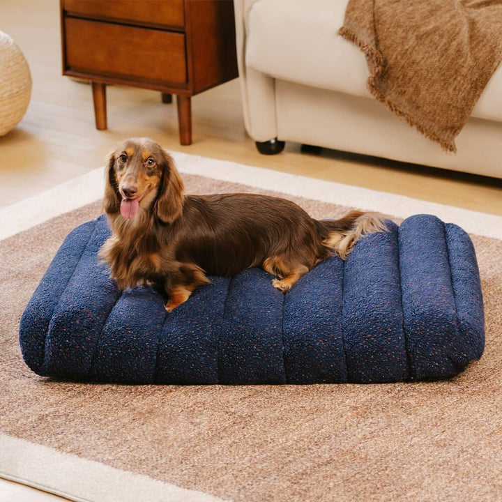 Orthopedic flat dog bed in creamy color, washable for easy cleaning and pet comfort
