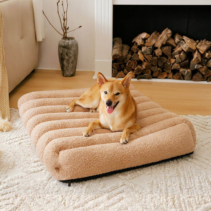 Creamy memory foam dog bed, washable and orthopedic for ultimate pet comfort and support