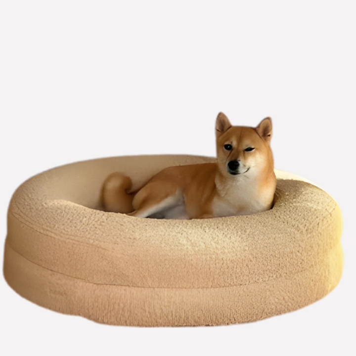 Orthopedic foam dog bed for large breeds, washable, waterproof cover in a living room.