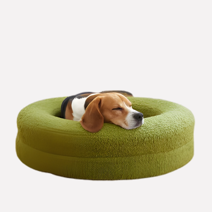 Large dog resting comfortably on a grey orthopedic foam bed with non-slip bottom.