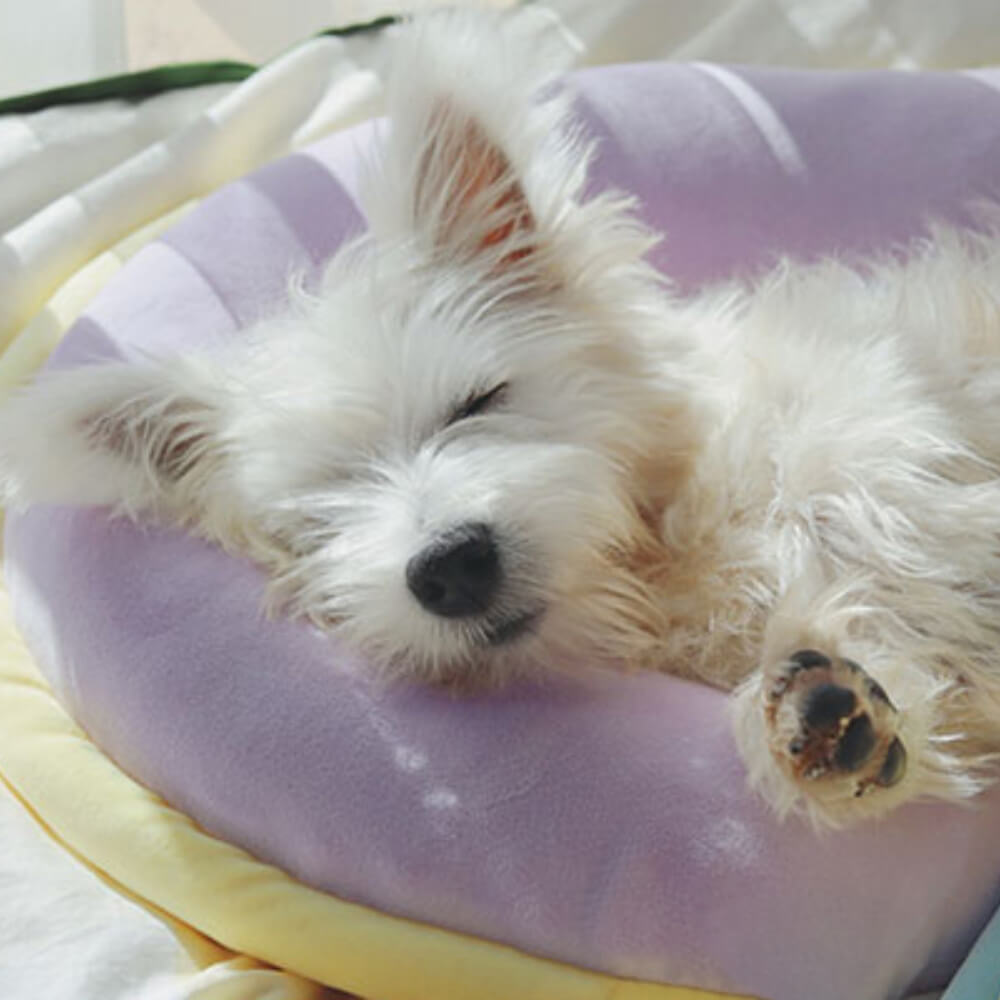 Pet sleeping soundly on an orthopedic spine-support macaron pillow, ideal for dogs and cats.