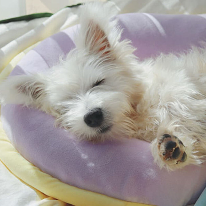 Pet sleeping soundly on an orthopedic spine-support macaron pillow, ideal for dogs and cats.