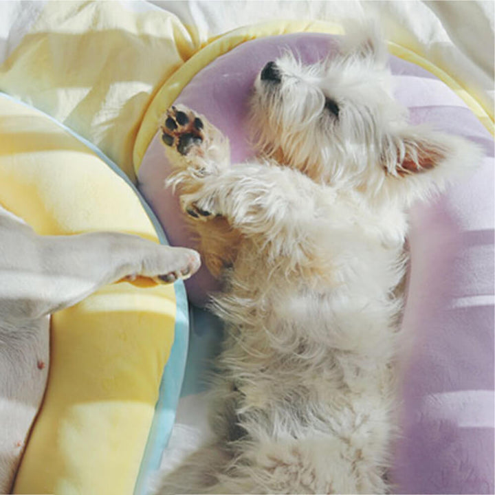 Two orthopedic macaron pet sleep pillows, stackable design offering spine support for multiple pets.