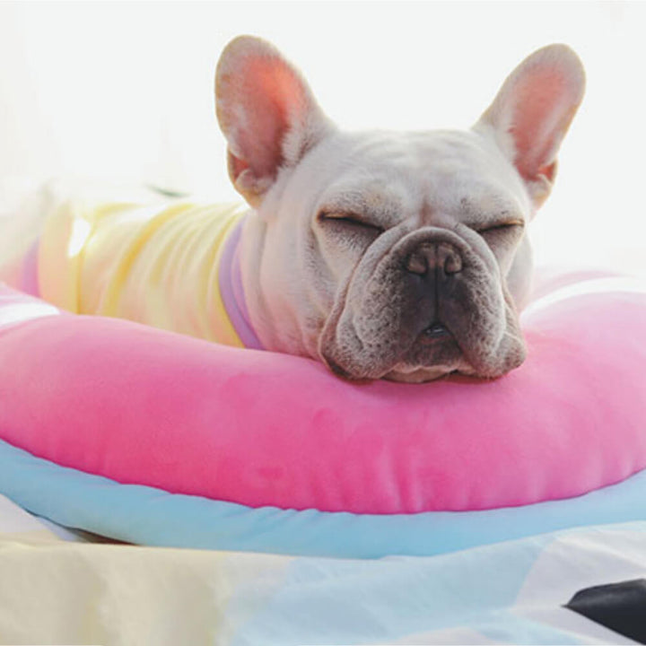 Orthopedic spine-support pet pillow with removable cover, easy clean macaron dog & cat bed.