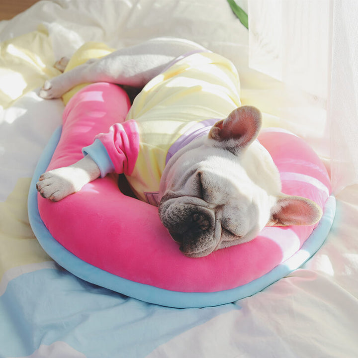 Puppy resting on a small orthopedic macaron pet pillow, excellent spine support for young animals.