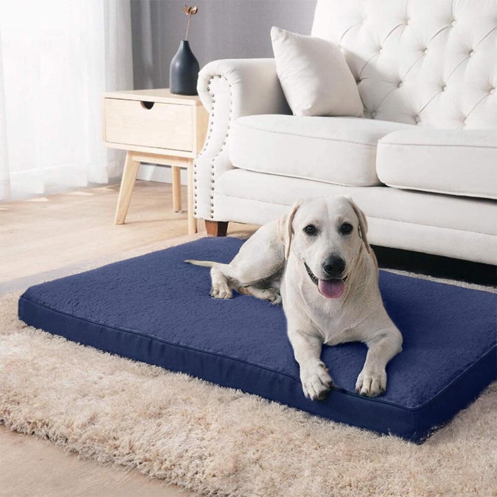 Orthopedic memory foam dog bed for large breeds, beige, with waterproof liner.