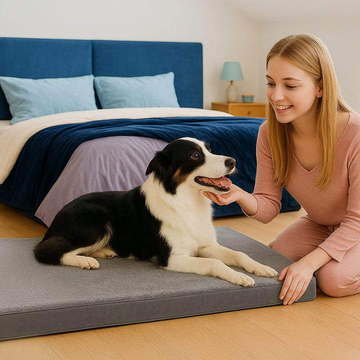 Large dog bed: orthopedic memory foam with washable cover, offering joint support.