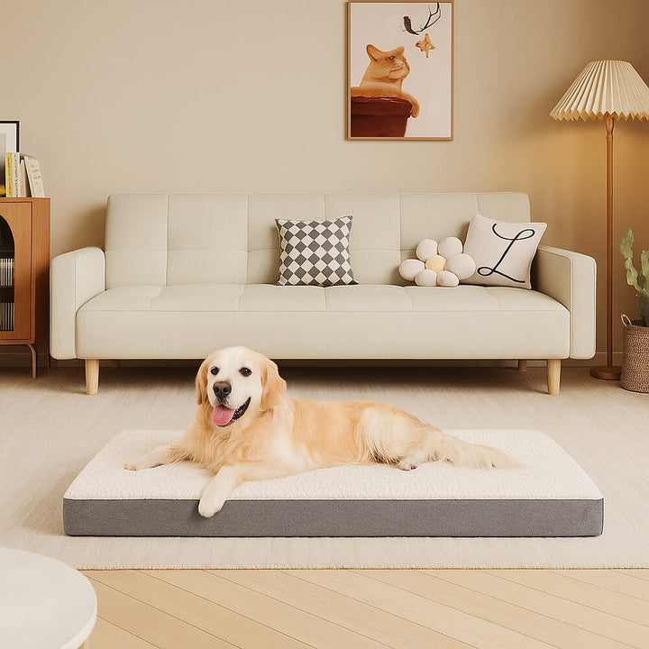 Orthopedic dog bed for large dogs, memory foam support, non-slip base, plush surface.