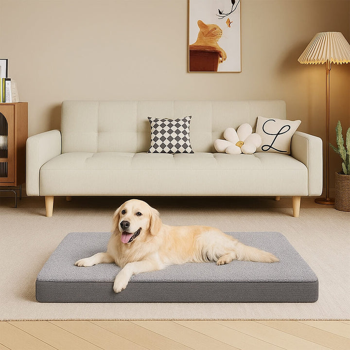 Pet supplies: large memory foam dog bed, waterproof liner, ideal for senior dogs.