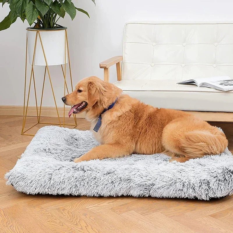 Comfortable orthopedic dog and cat bed, memory foam, durable and washable cover, plush for all-season
