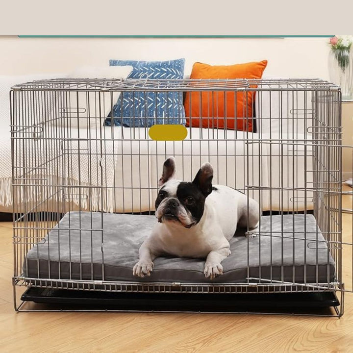 Orthopedic memory foam dog bed with a soft, washable cover providing joint support for pets.