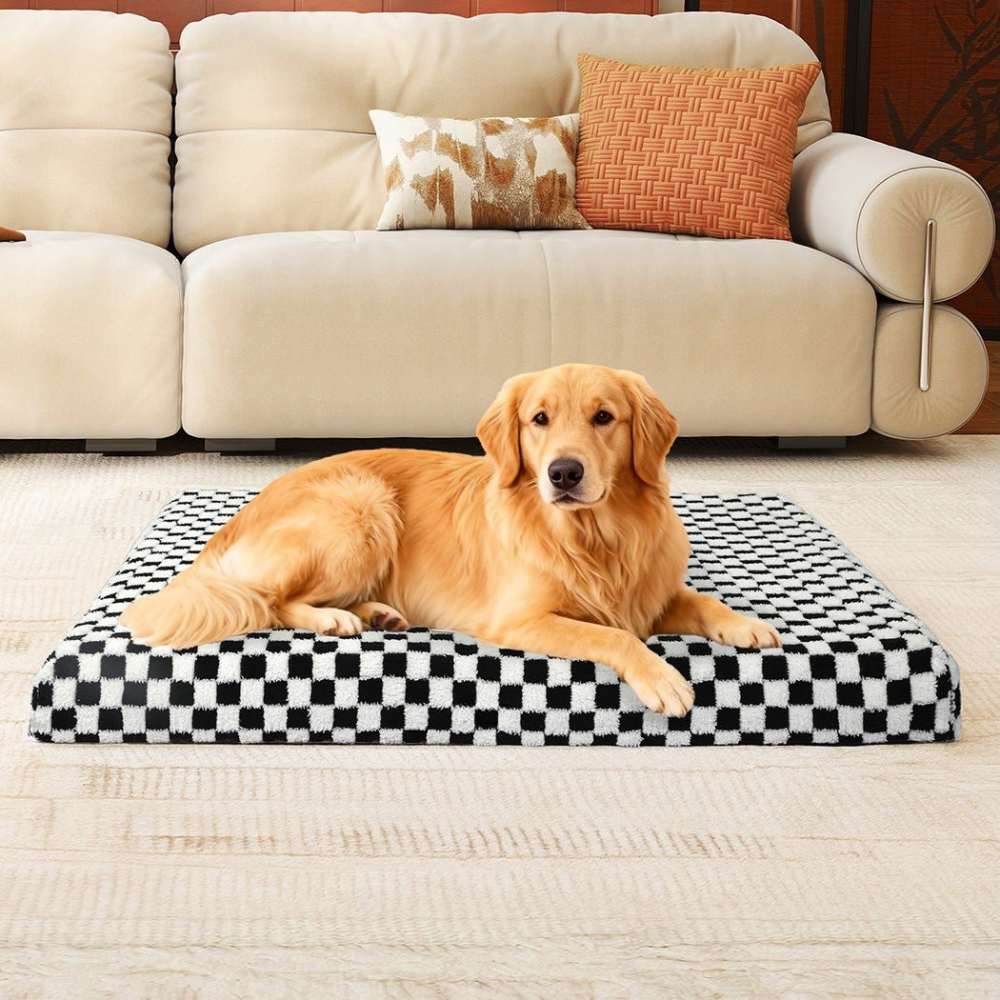 Orthopedic memory foam dog bed with a washable cover provides joint support for senior dogs.