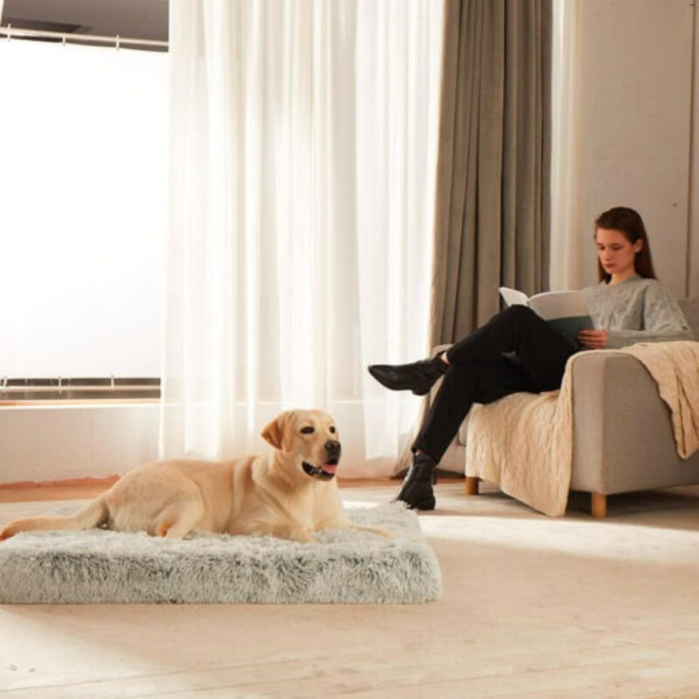 Orthopedic memory foam dog bed with washable cover, providing anti-anxiety calming comfort for pets.