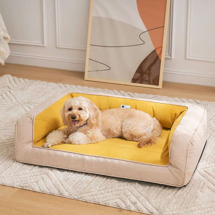 Happy dog sleeping soundly on orthopedic memory foam sofa bed, promoting pet comfort