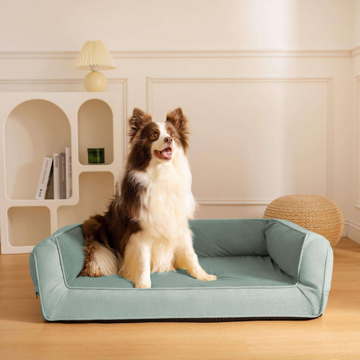 Collection of orthopedic dog sofa beds in various sizes, comfort for all large dog breeds