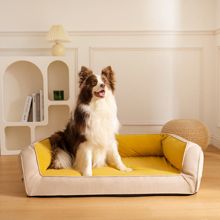 Orthopedic dog bed in beige color, fitting seamlessly into home decor, washable pet comfort