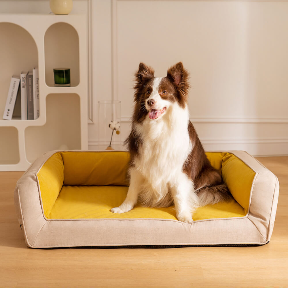 Close-up of orthopedic memory foam dog bed fabric, durable and washable pet furniture