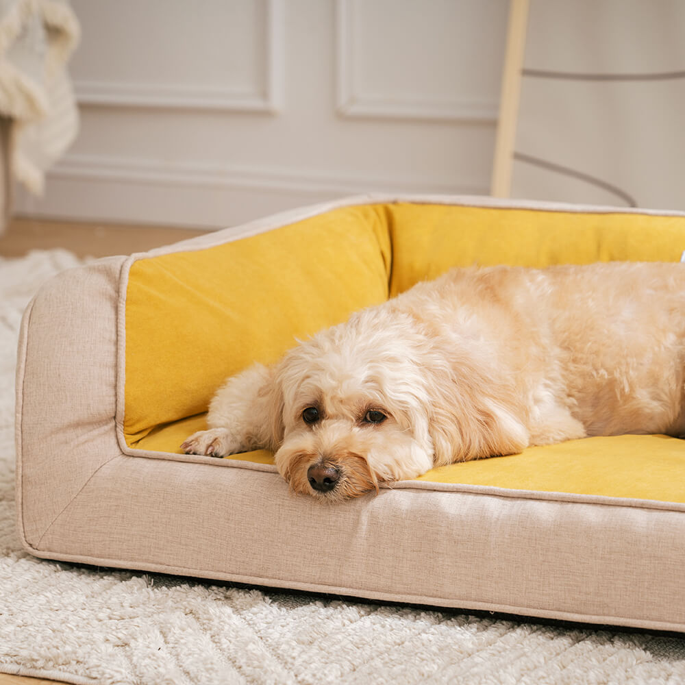 Brown orthopedic dog bed in living room setting, stylish and comfortable pet furniture