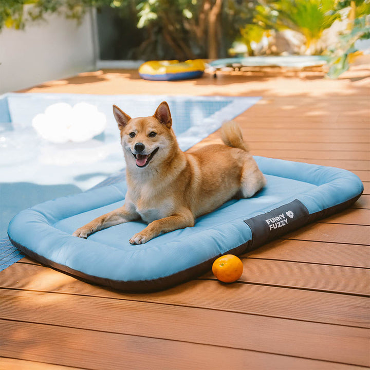 Washable orthopedic dog mat with a durable waterproof and odor-resistant cover