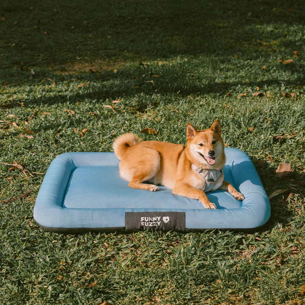 Pet dog bed: chew-proof and waterproof orthopedic mat for long-lasting use
