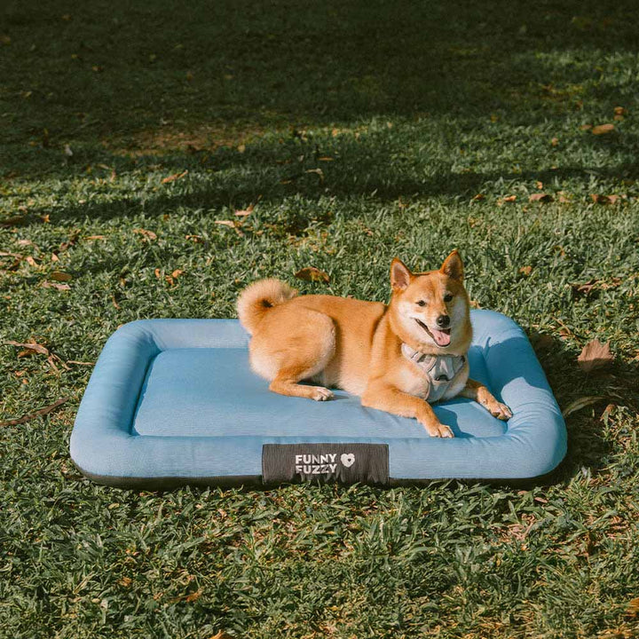 Pet dog bed: chew-proof and waterproof orthopedic mat for long-lasting use