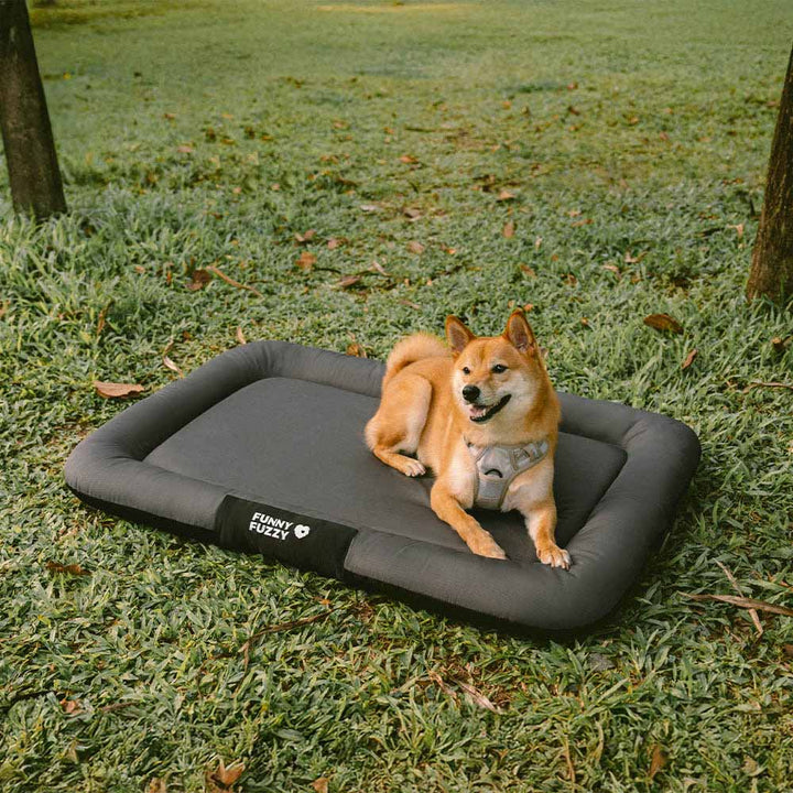 Memory foam orthopedic dog bed mat, washable and waterproof pet accessory