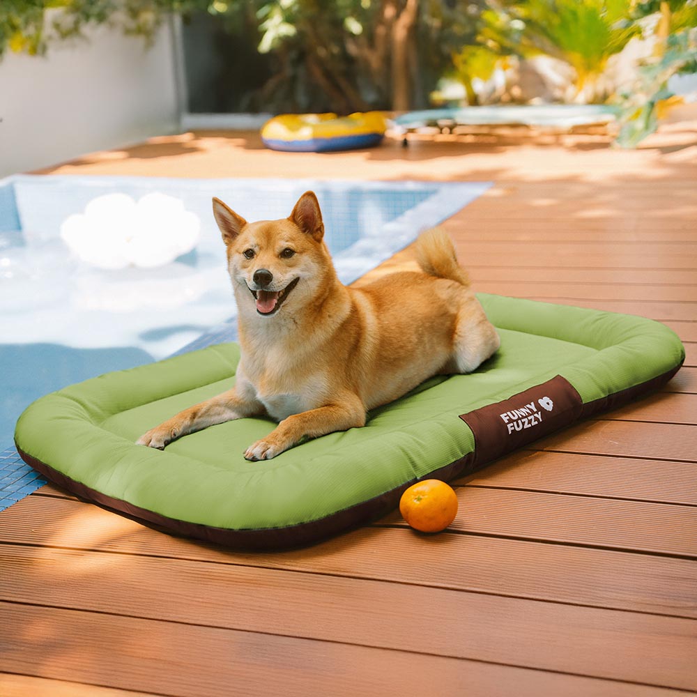 Chew-proof dog bed mat, orthopedic with waterproof cover for easy maintenance