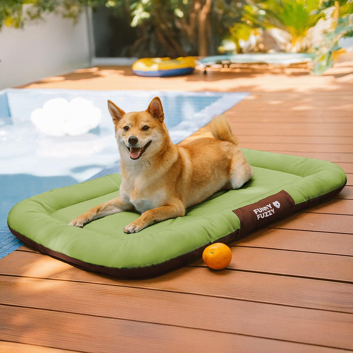 Chew-proof dog bed mat, orthopedic with waterproof cover for easy maintenance