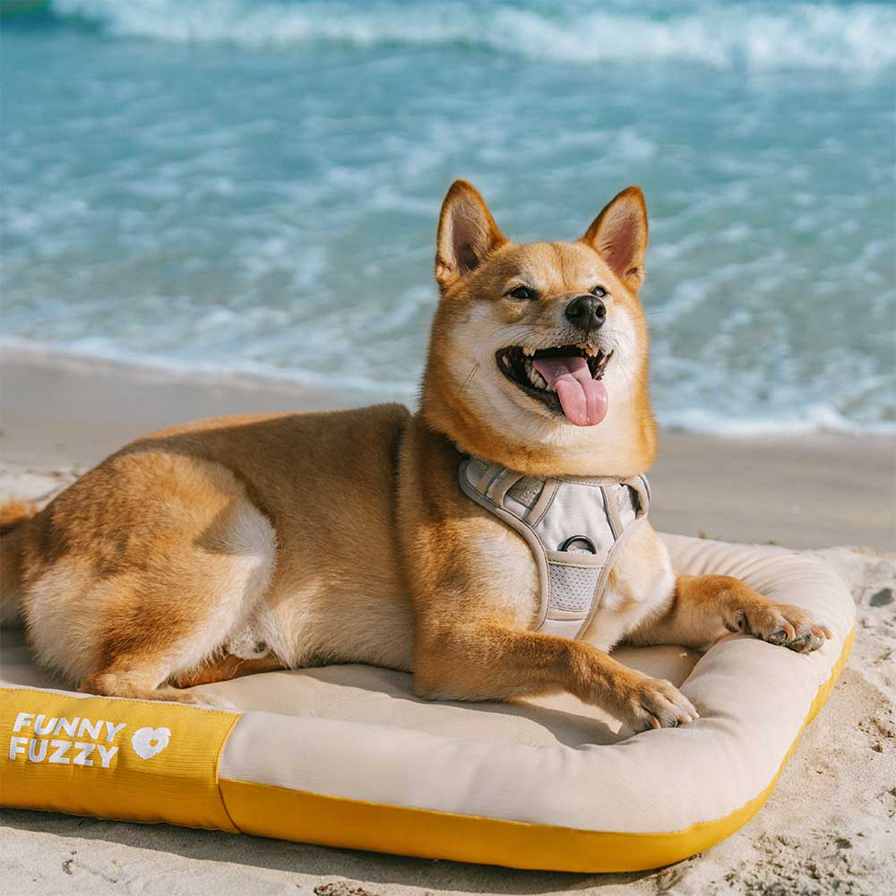Orthopedic dog bed mat, waterproof and durable, perfect for an outdoor setting