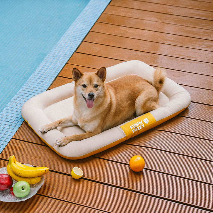 Memory foam pet mat: orthopedic, waterproof, and washable for hygiene