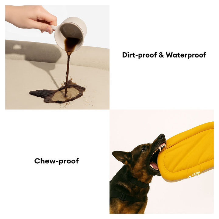 Pet mat: orthopedic memory foam dog bed with odor-resistant and waterproof design