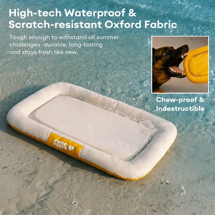 Washable memory foam dog bed mat, orthopedic, chew-proof, and odor-resistant