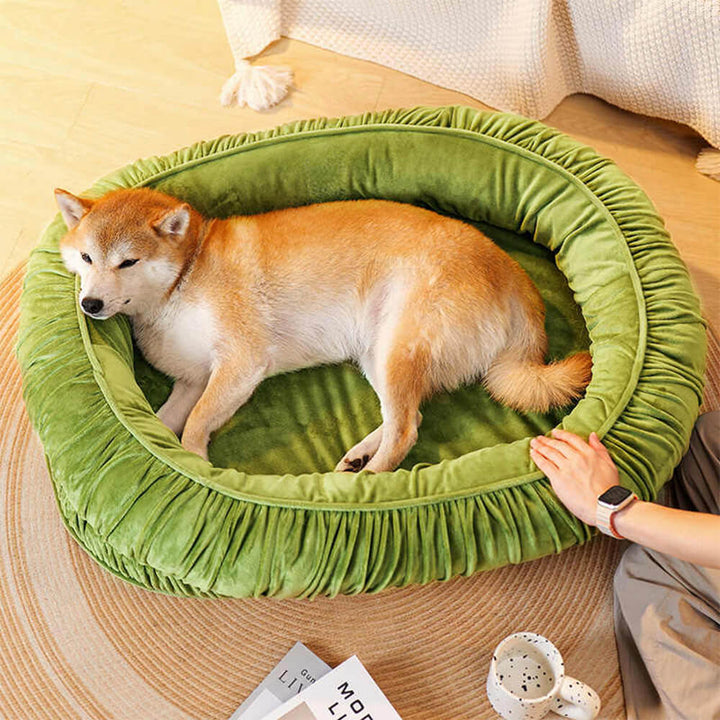 Oval pet bed for ultimate comfort, orthopedic support, calming effect, and a detachable velvet cover.